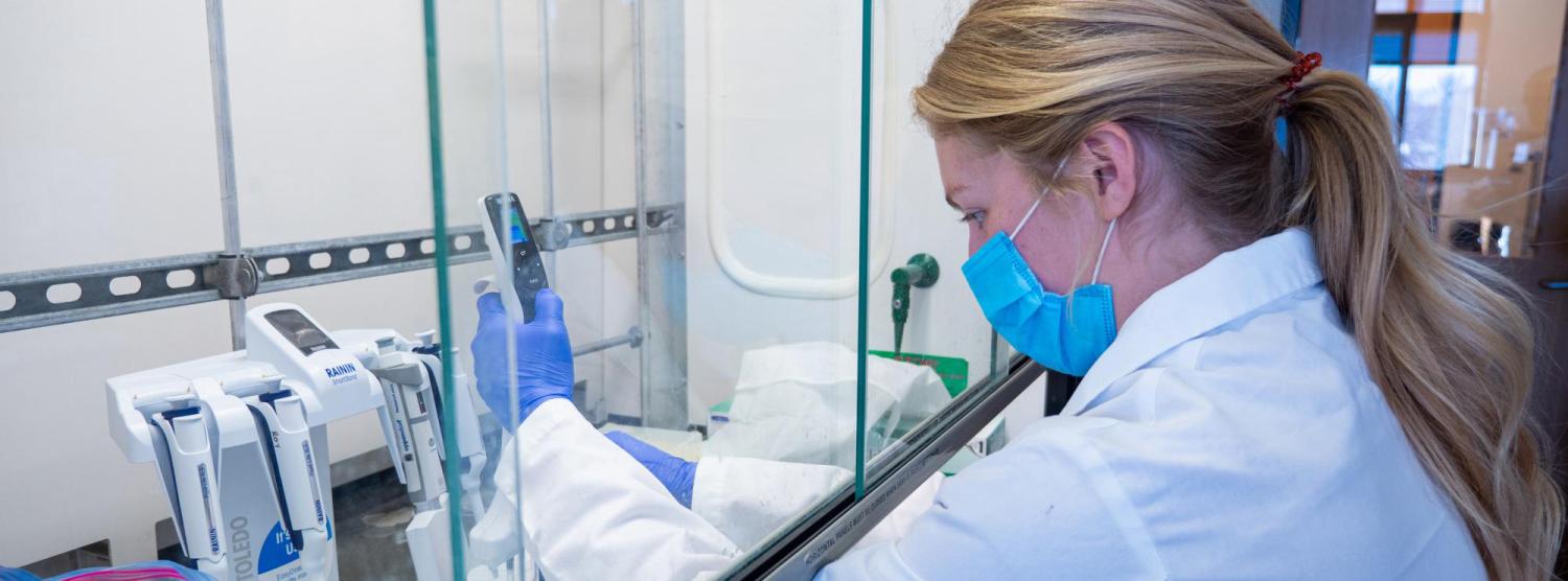 Researcher Megan Winter process samples in one of several important steps in the Biofrontiers COVID-19 surveillance laboratory that processes the saliva samples from students, staff and faculty at CU Boulder.