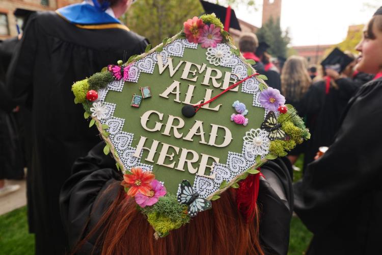 A photo of a graduation cap that reads "we're all grad here".