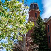 A building on CU Boulder's campus with a tree in the foreground. 