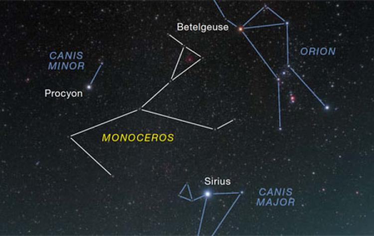 Orion's Dogs