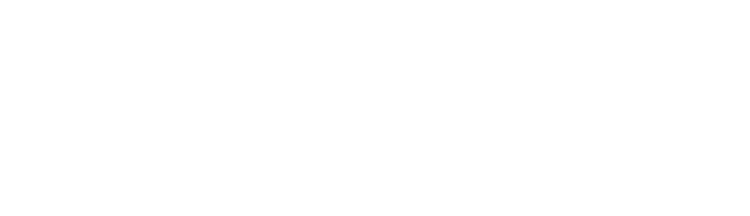 nvc 15 wordmark