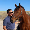 man with horse