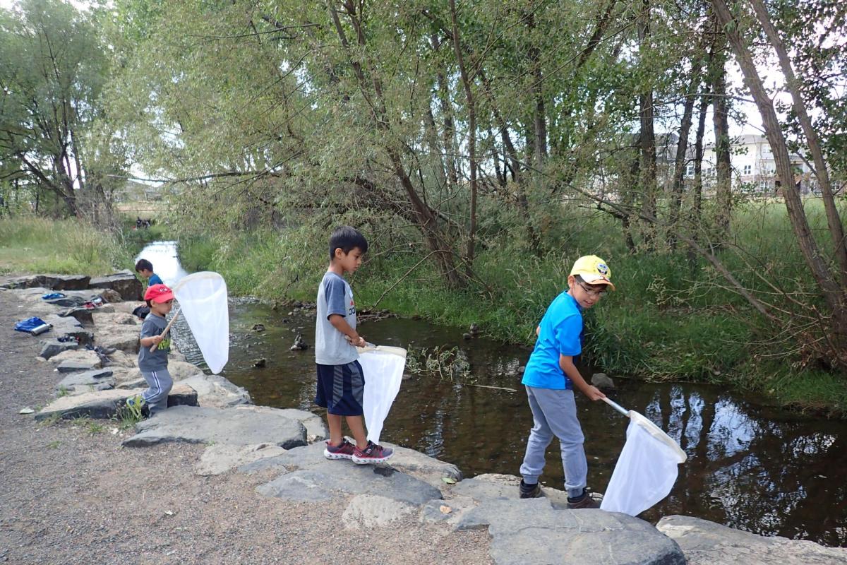 boys use nets to clean litter from a stream