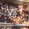 A metal bin with strategically placed rocks and a small lego house to avoid damage from a simulated flood
