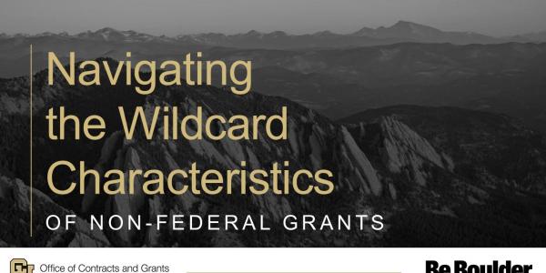 Navigating the Wildcard Characteristics of Non-Federal Grants