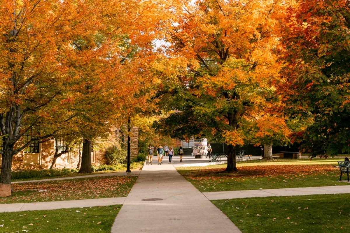 Students walking on campus
