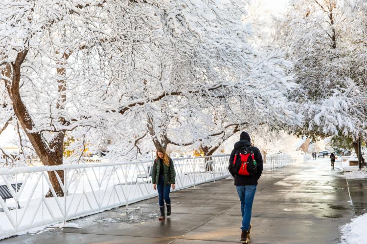 Students walking on a snowy campus