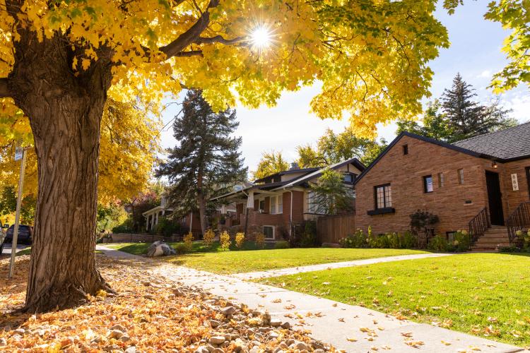 Boulder neighborhood
