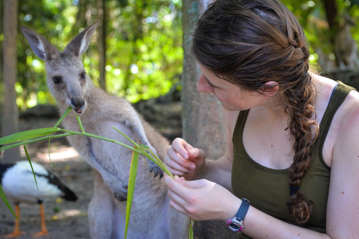 Student feeding kangaroo in Australia