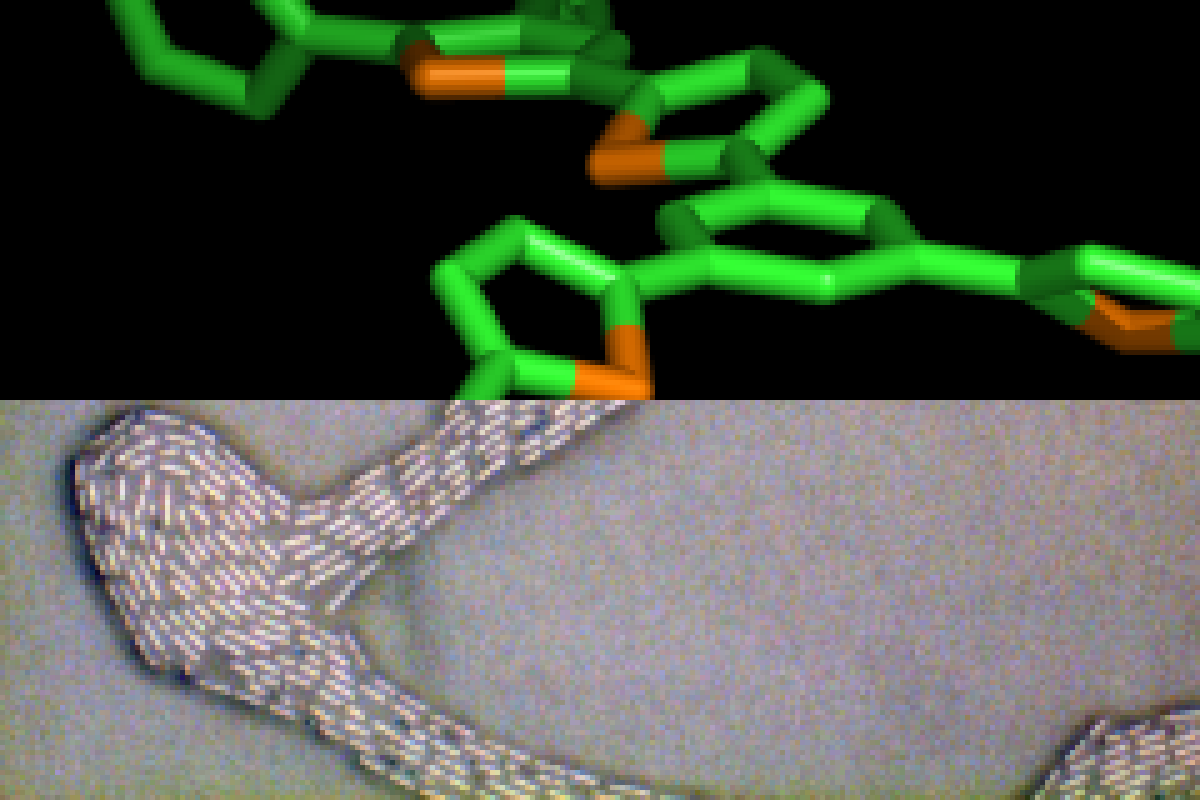 Research illustration from Shaheen Group