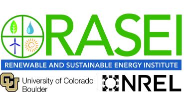 RASEI logo