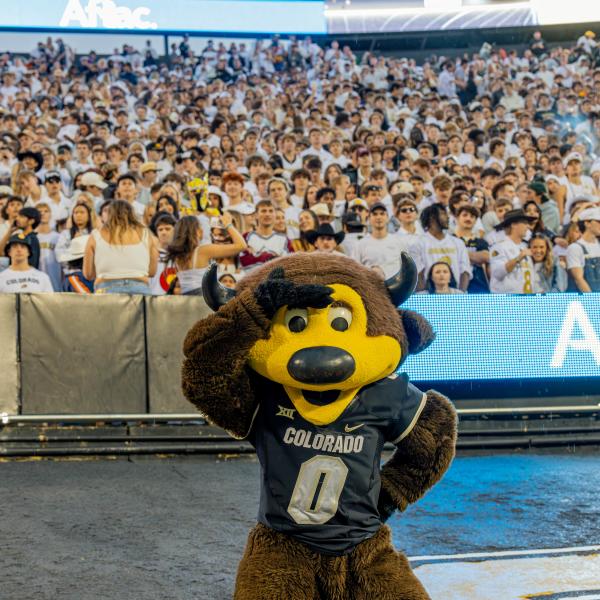 Chip at Baylor game