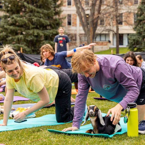 goat yoga at the rec