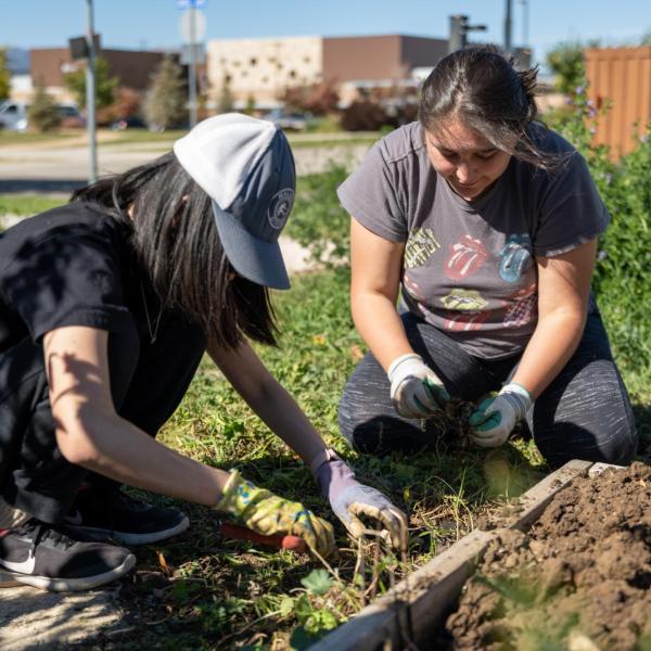 Students volunteering