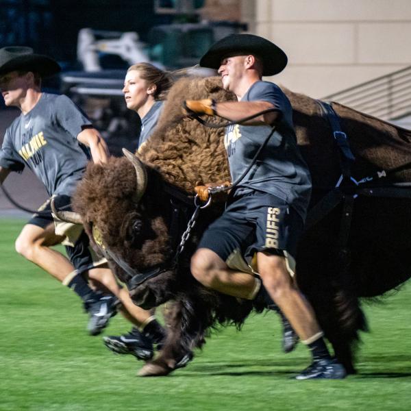 CU Kick-Off