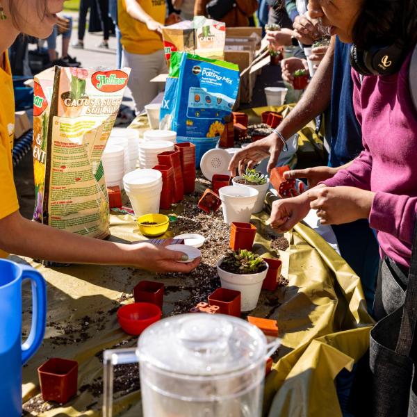 Health and Wellness Take Care Street Fair