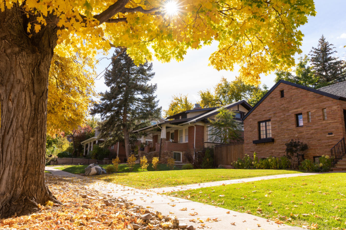 housing on the hill