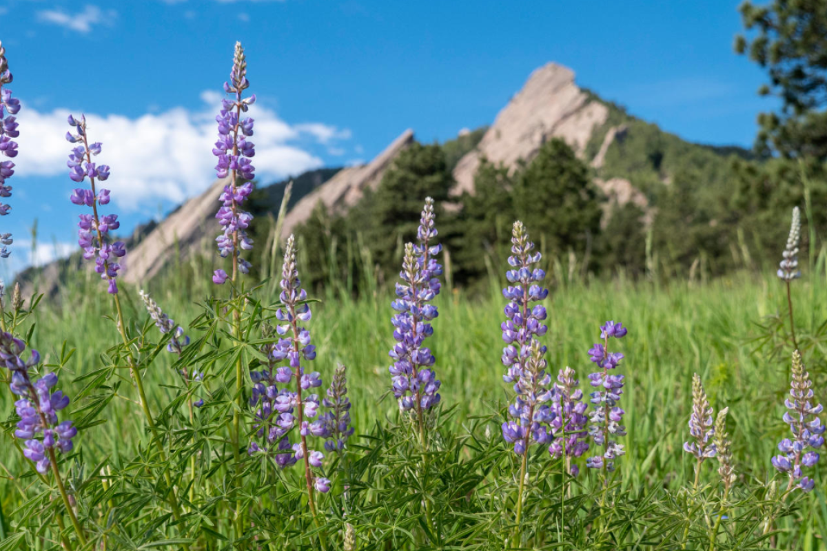 flatirons