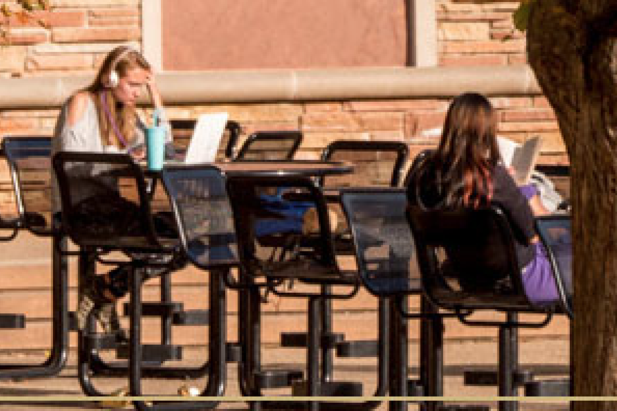students studying