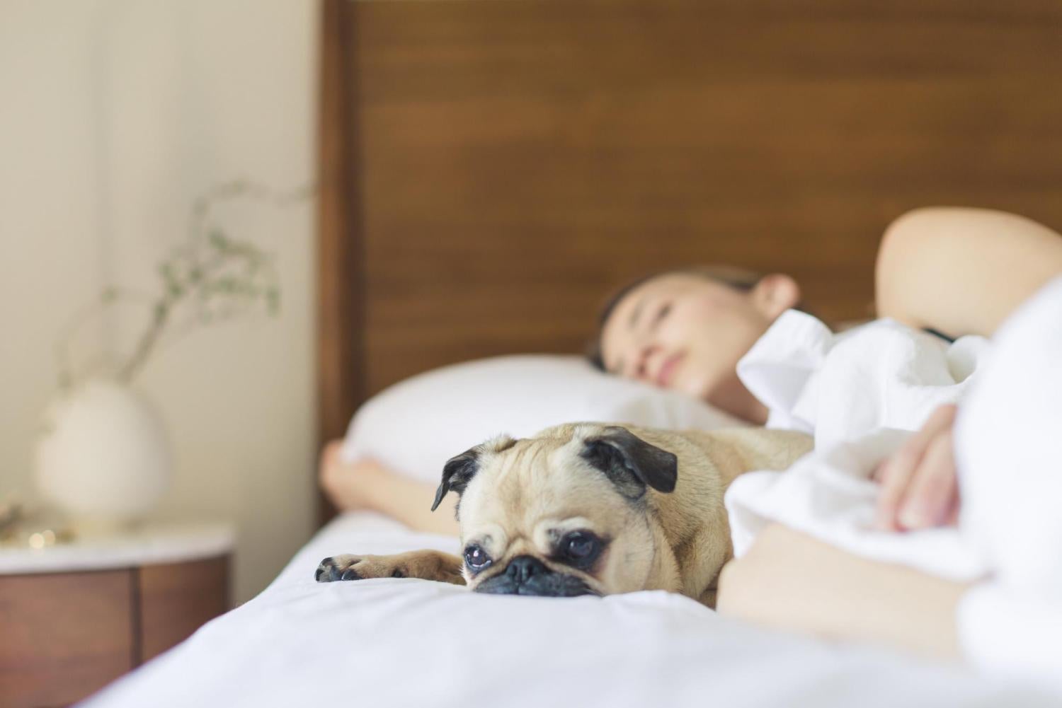 Women sleeping with pug
