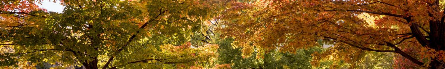 fall on campus