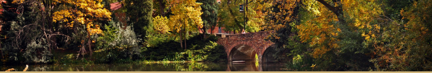University Bridge CU Boulder
