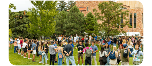 Orientation