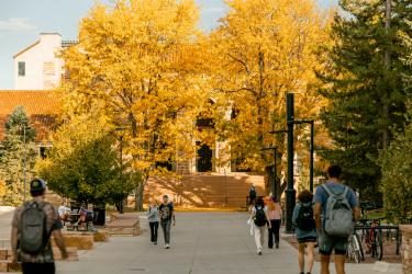 A fall campus scenic