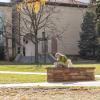 A student sitting outside on campus