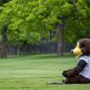 Chip meditating