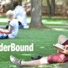 student reading book under tree