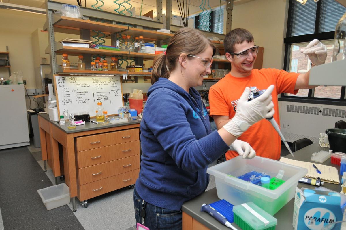 Students working together in a lab.