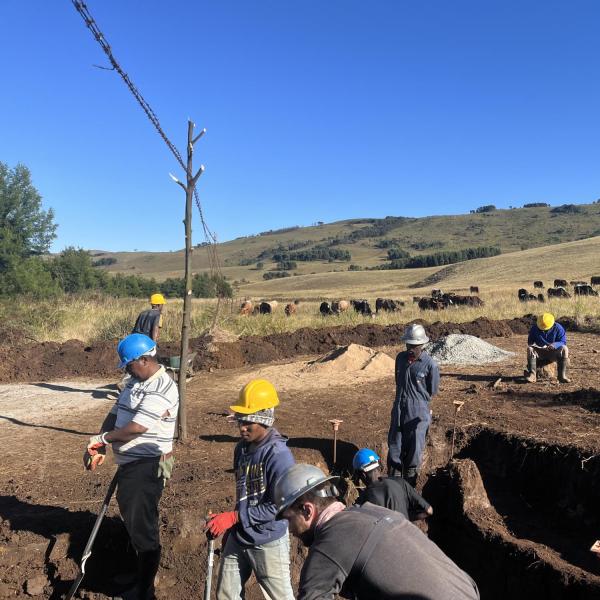 Members digging hole
