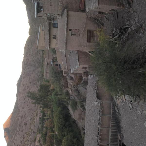All the houses within the community