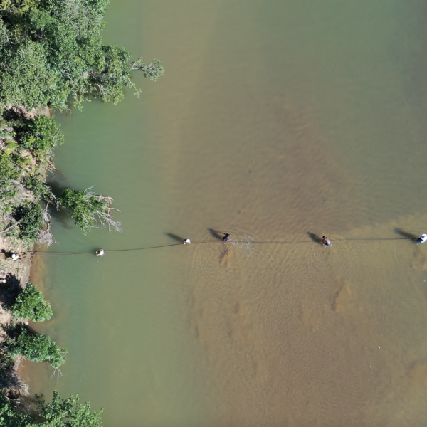 Drone view of people standing in the river laying cable