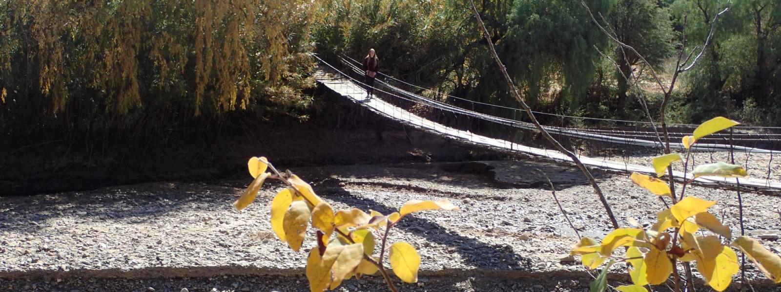 2016 bridge - Far view with trees turning yellow