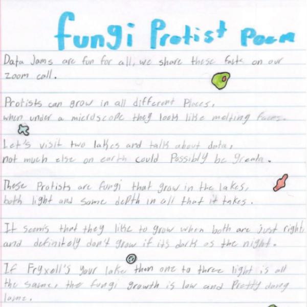 Example of student work, a poem about Protists