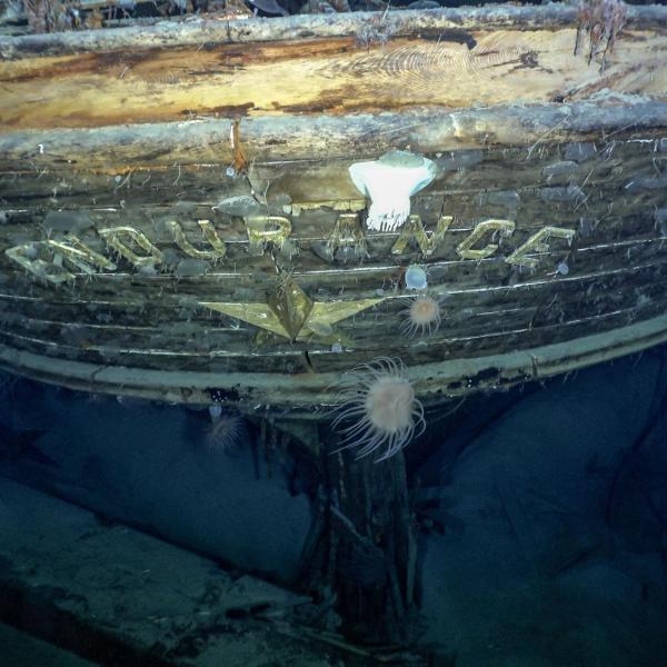 The Endurance (Photo Credit: Falklands Maritime Heritage Trust)