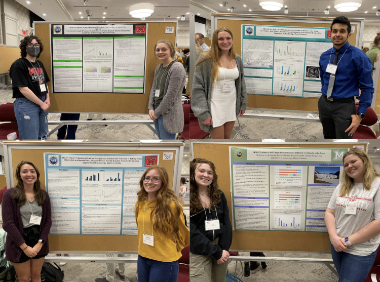 students and posters