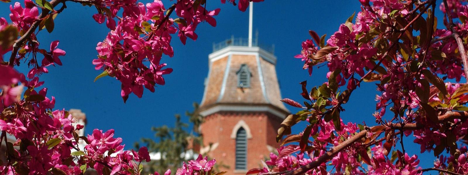 Spring on campus