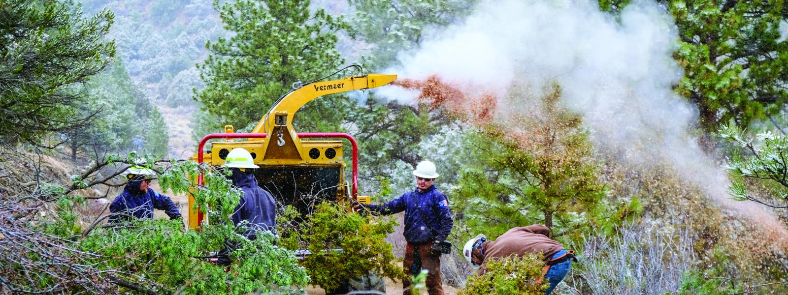 Wildfire Research