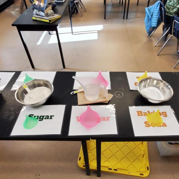 yeast set up