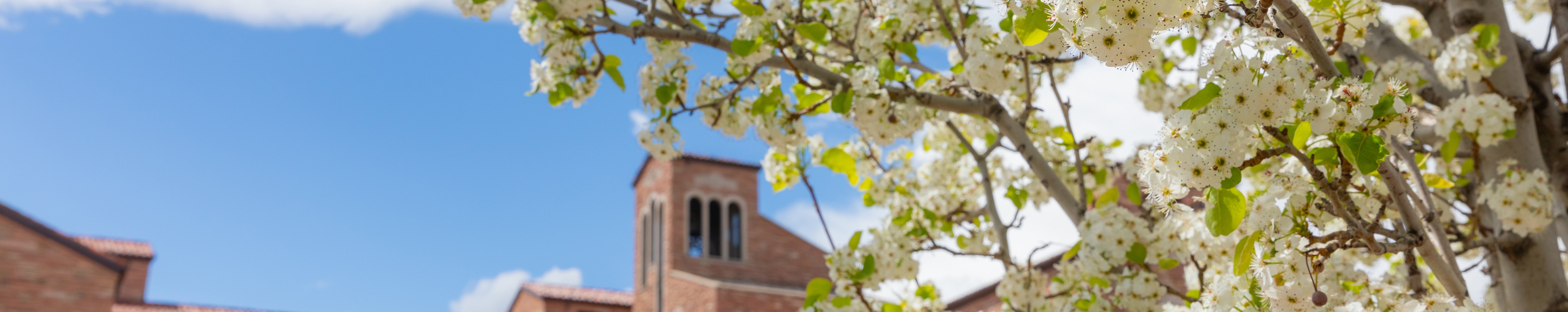 spring on campus