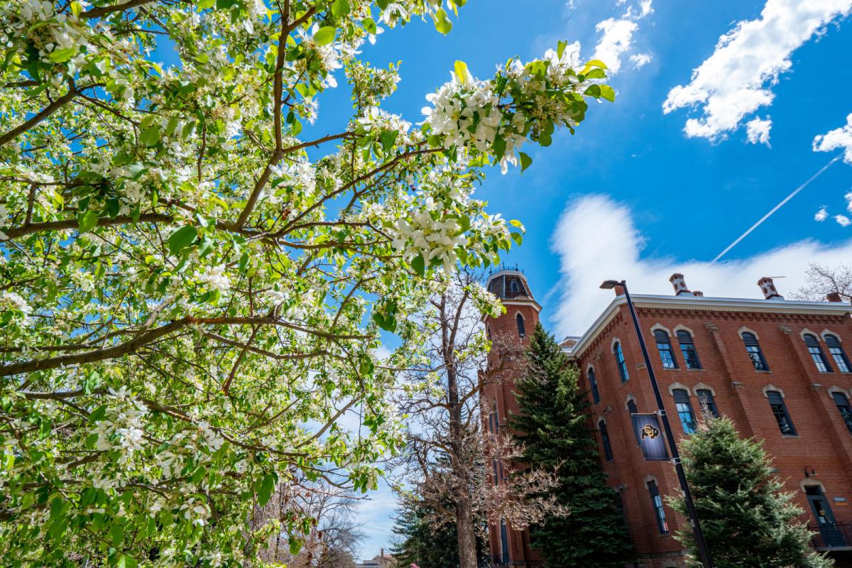 cu boulder campus spring