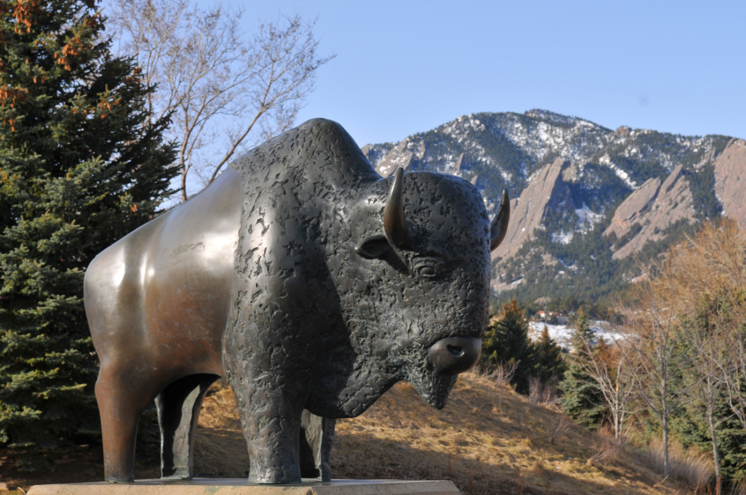 buff statue