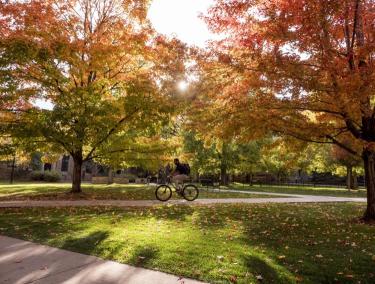 campus