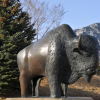buff statue
