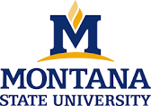 Montana State
