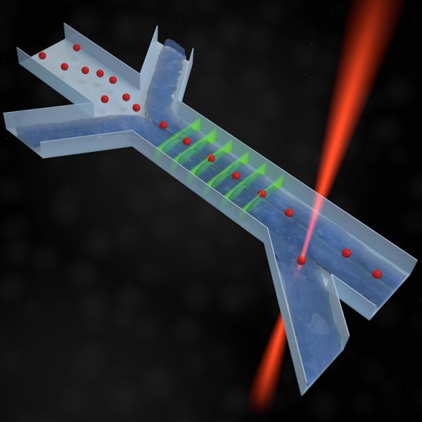 Jiminez Lab Graphic