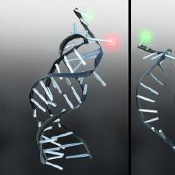 Nesbitt Lab Graphic